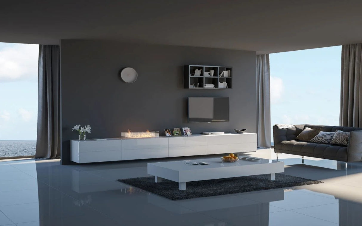 Bio-fireplace INSERT 1000